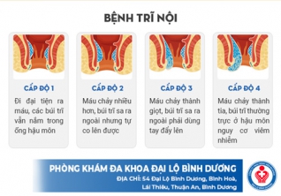Bệnh trĩ qua từng giai đoạn