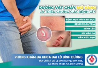 Dương vật chảy mủ vàng là triệu chứng của bệnh gì?