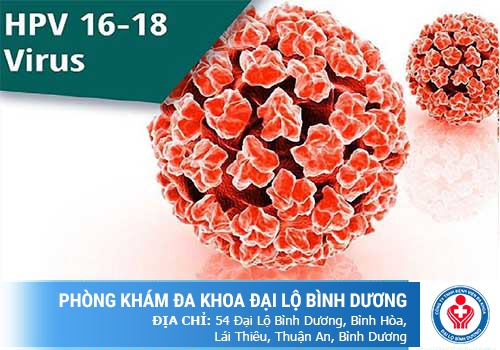 Virus HPV sinh dục là gì? Tìm hiểu thêm về virus HPV