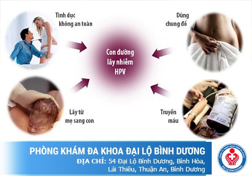 nguyên nhân gây bệnh sùi mào gà