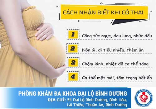 Cách sử dụng và đọc kết quả que thử thai chính xác