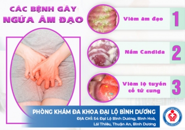 Ngứa vùng kín là bệnh gì?