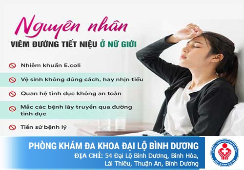 Hệ tiết niệu ở nữ giới (ảnh minh họa)