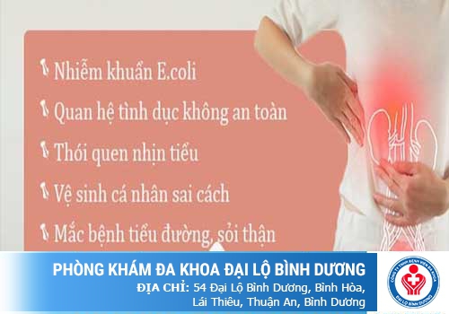 Hình ảnh đường tiểu ở nữ giới (ảnh minh họa)